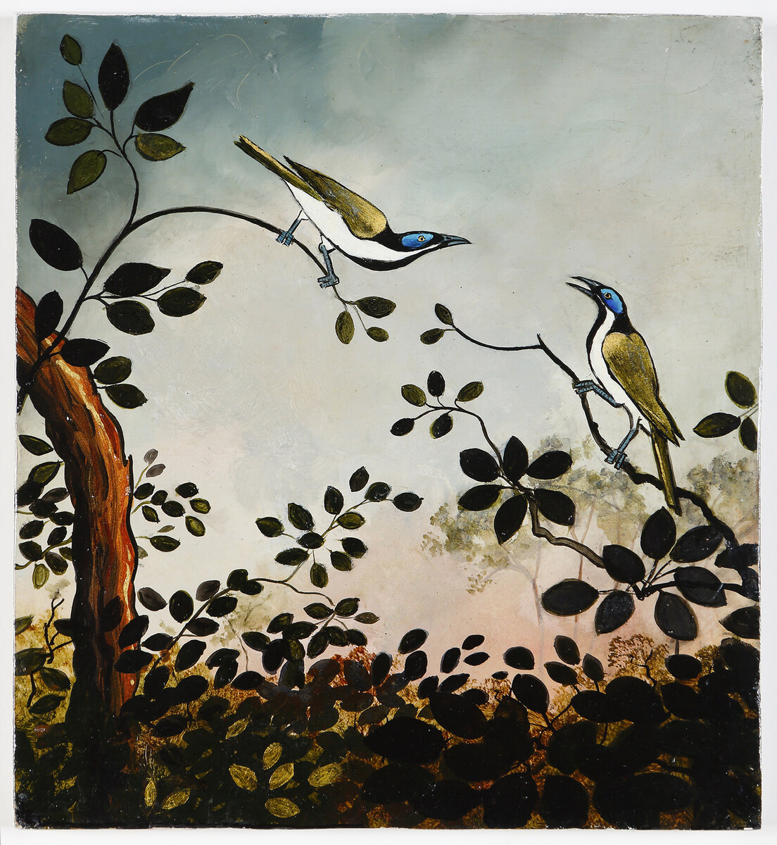 Bluce faced honey eaters (detail)